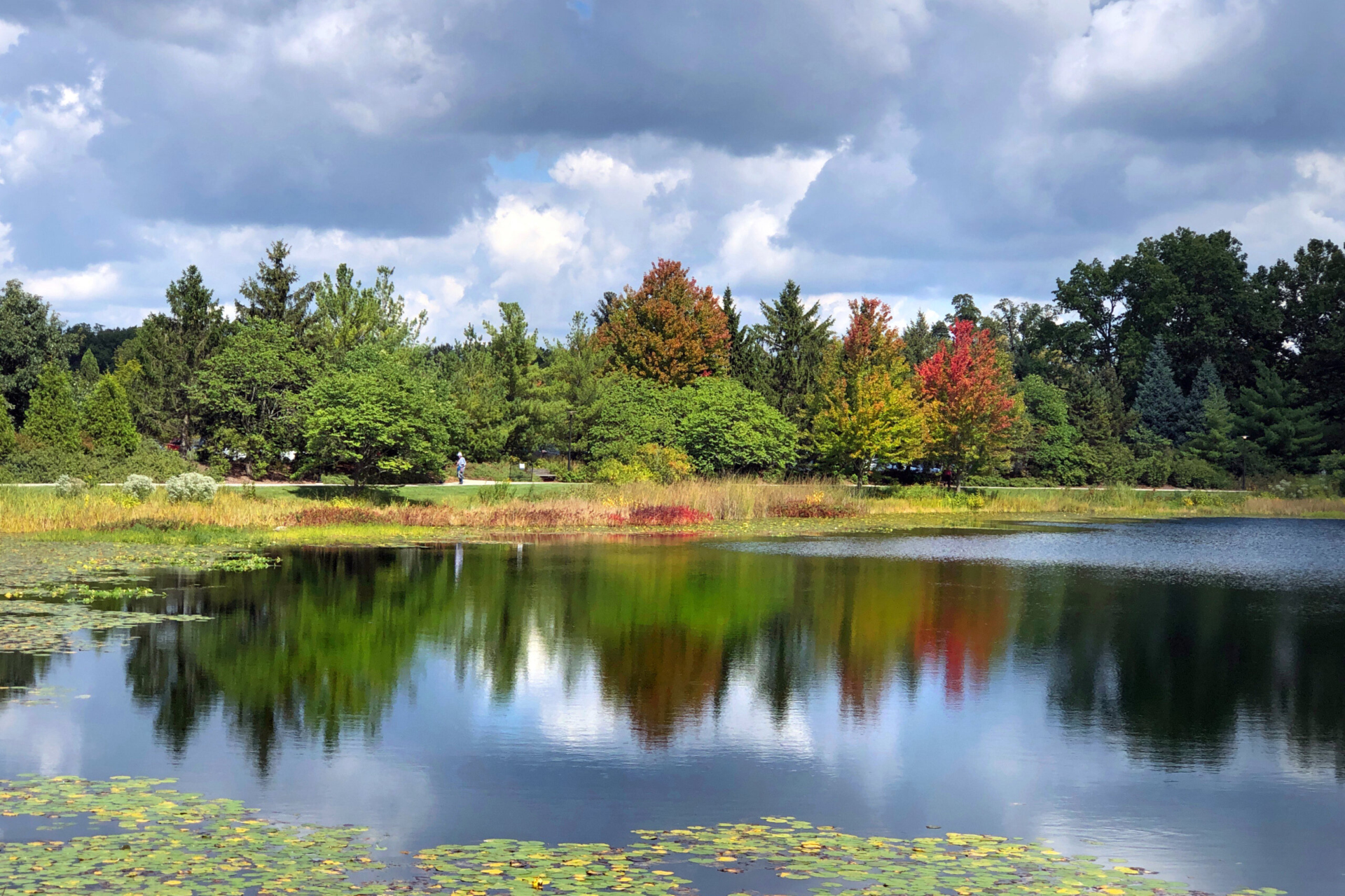 View of Meadow Lake showing early signs of fall color in maple trees
