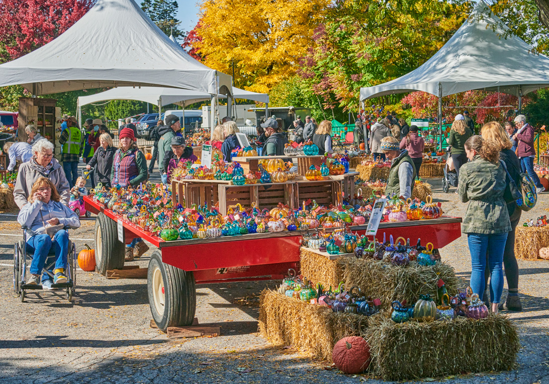 Guests admire all of the brightly colored glass pumpkins during fall