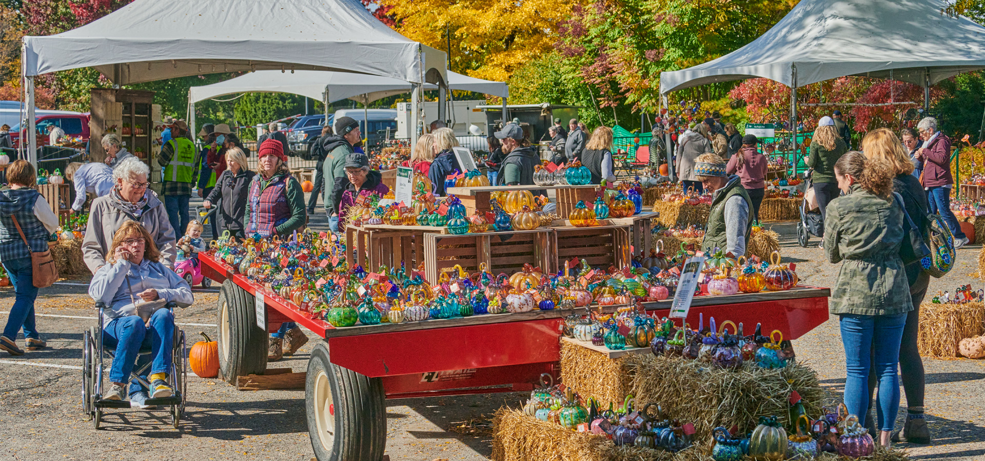 Guests admire all of the brightly colored glass pumpkins during fall