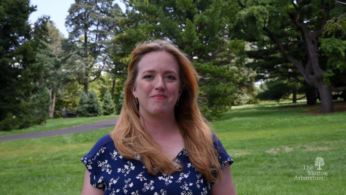 Thumbnail image of Jessica Turner-Skoff standing in front of tree collections at The Morton Arboretum