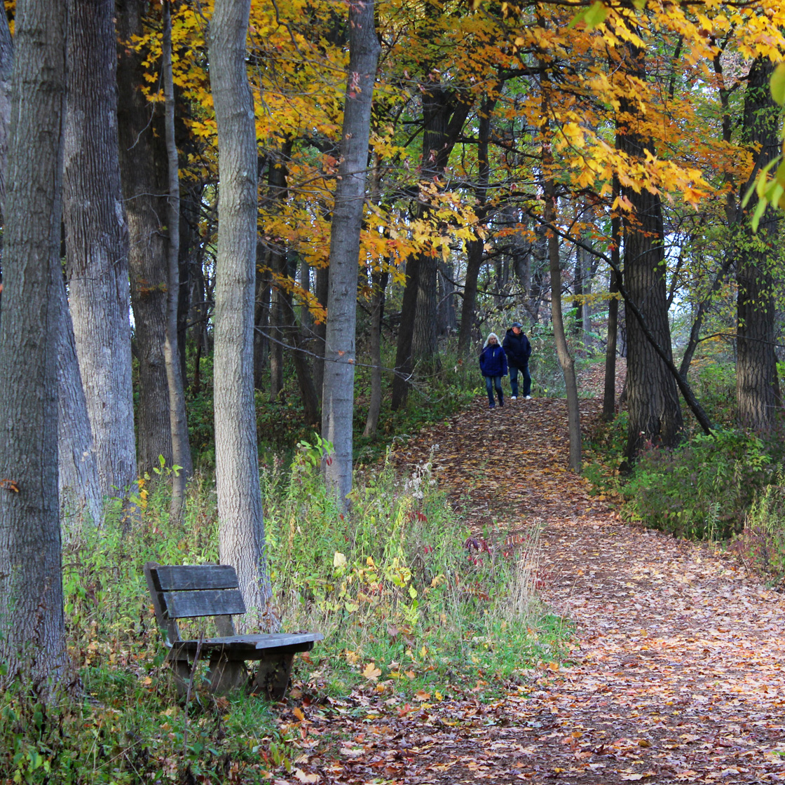Guest walk among fall color on the Main Trail loop