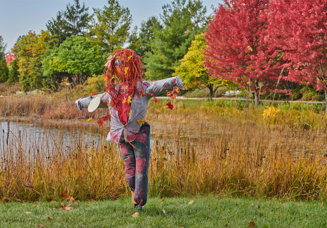 Fall Color Festival The Morton Arboretum