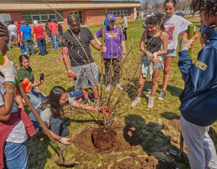 The Morton Arboretum