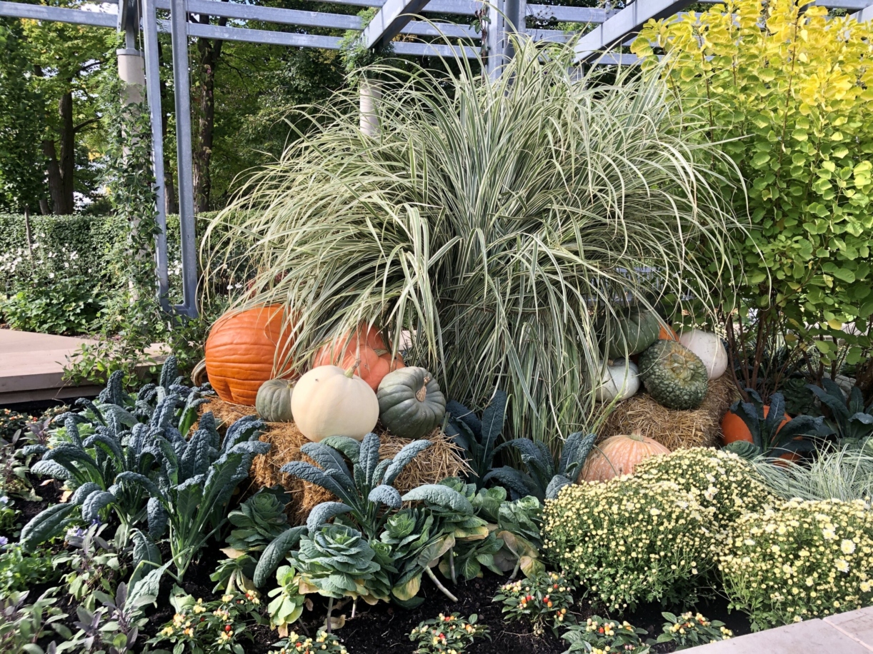 Photograph of fall seasonal display in The Grand Garden at The Morton Arboretum