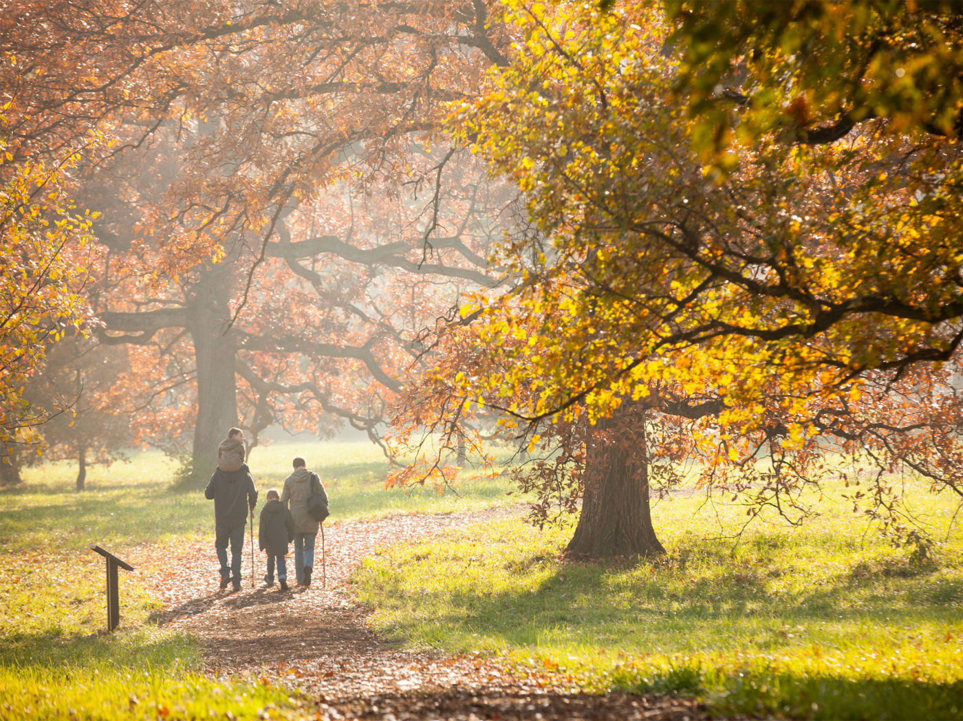 Explore Your Way The Morton Arboretum