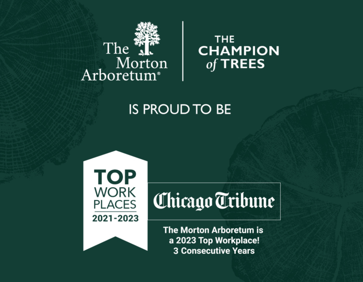 Top workplace 2023 video image