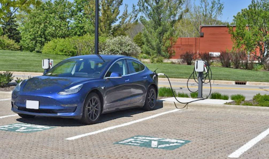 The Morton Arboretum