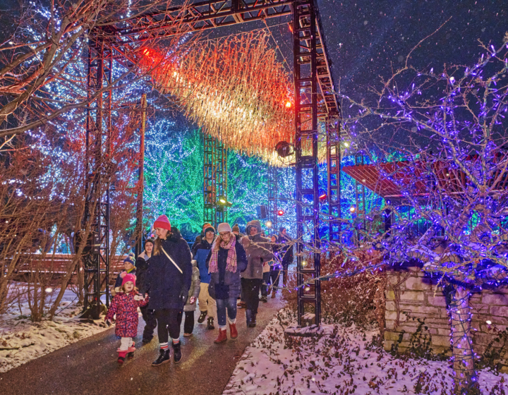 The Morton Arboretum