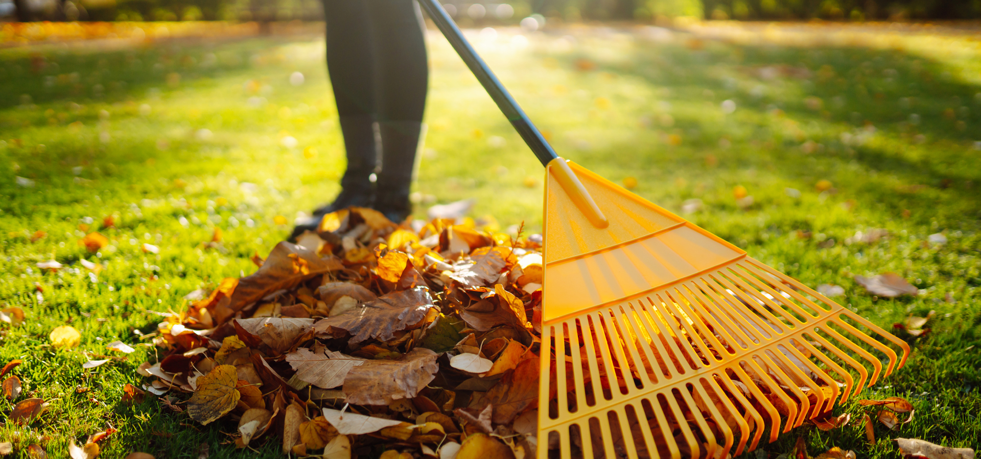 Networx: What to do with fallen leaves