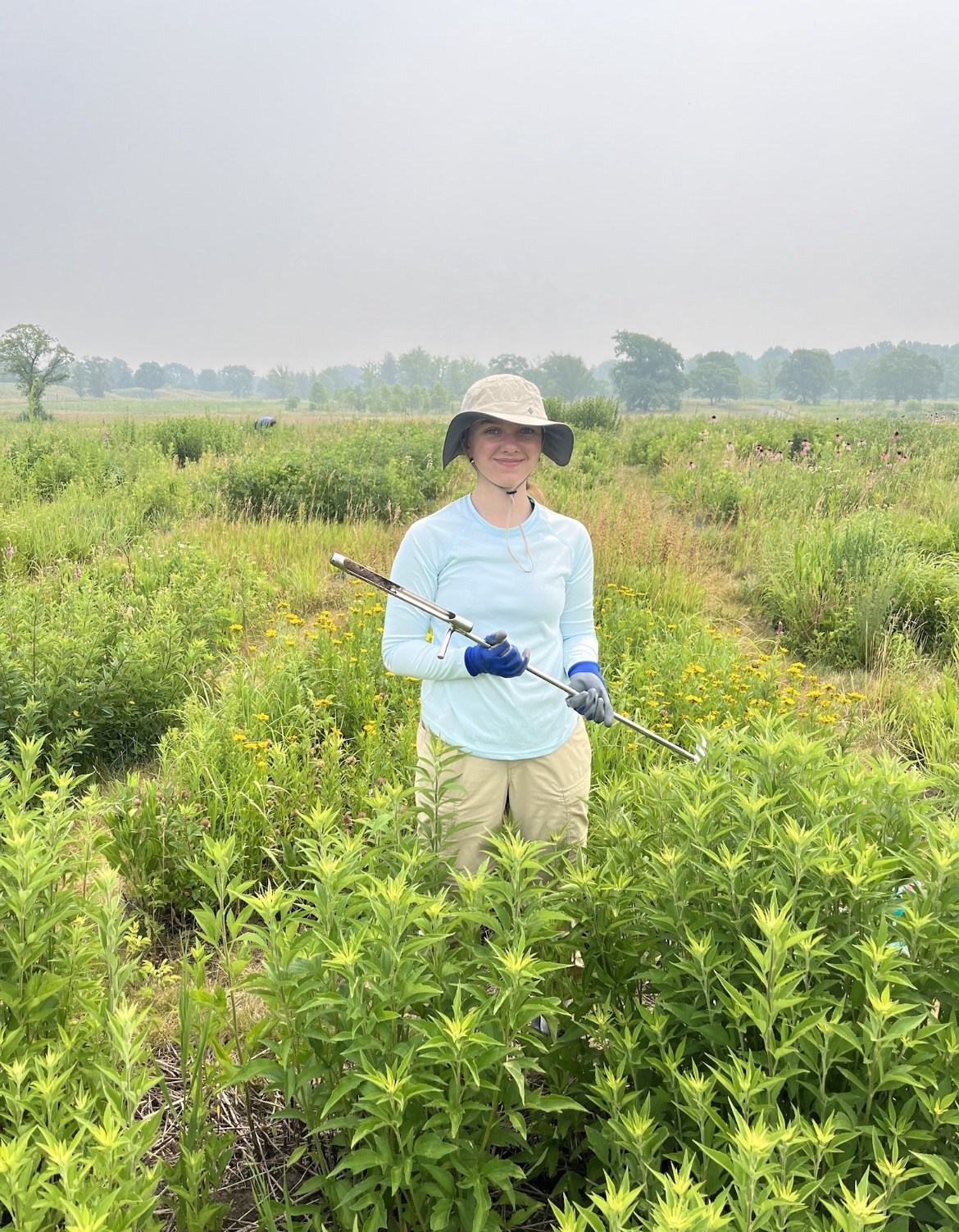 The Morton Arboretum