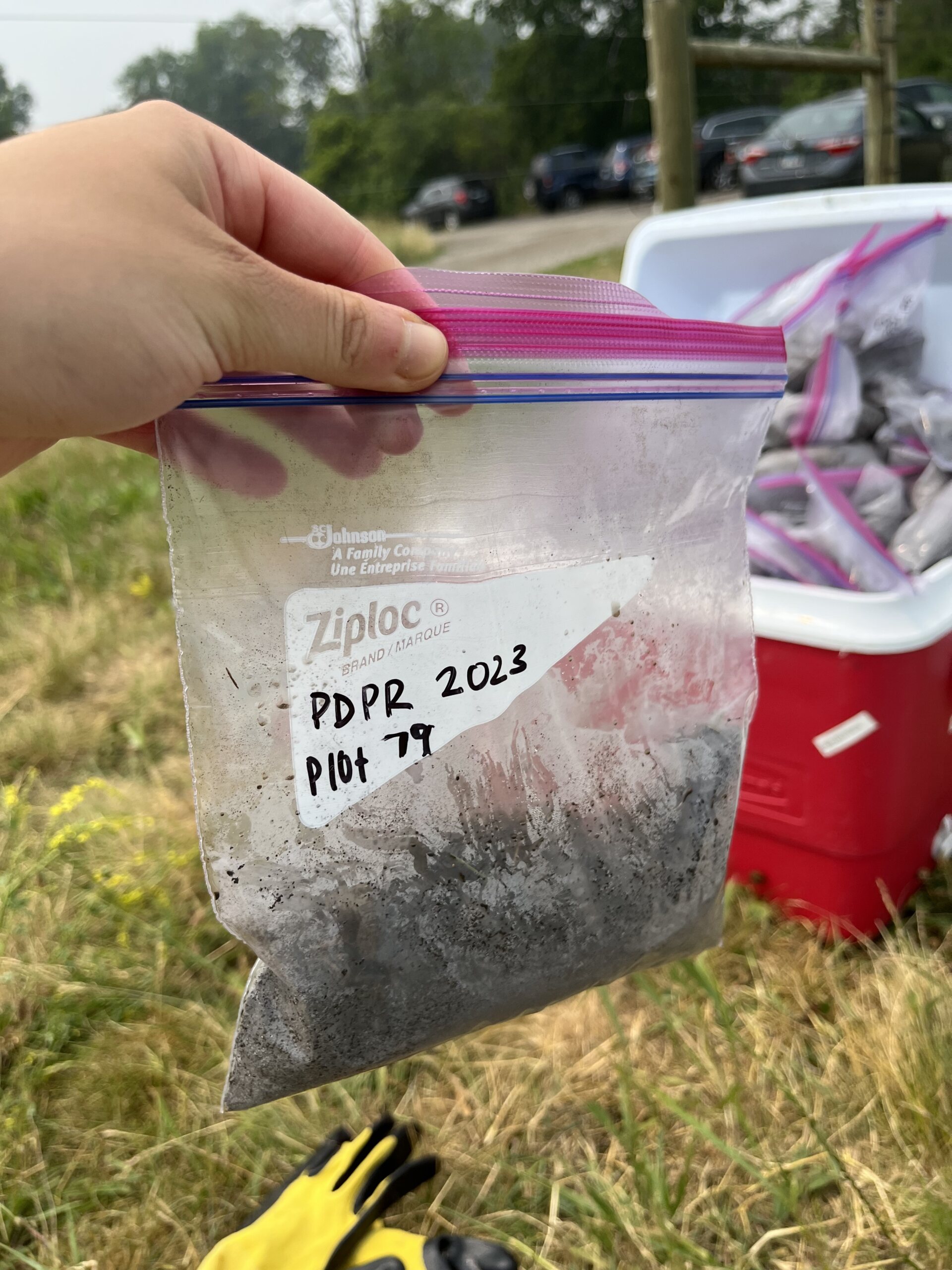 The Morton Arboretum