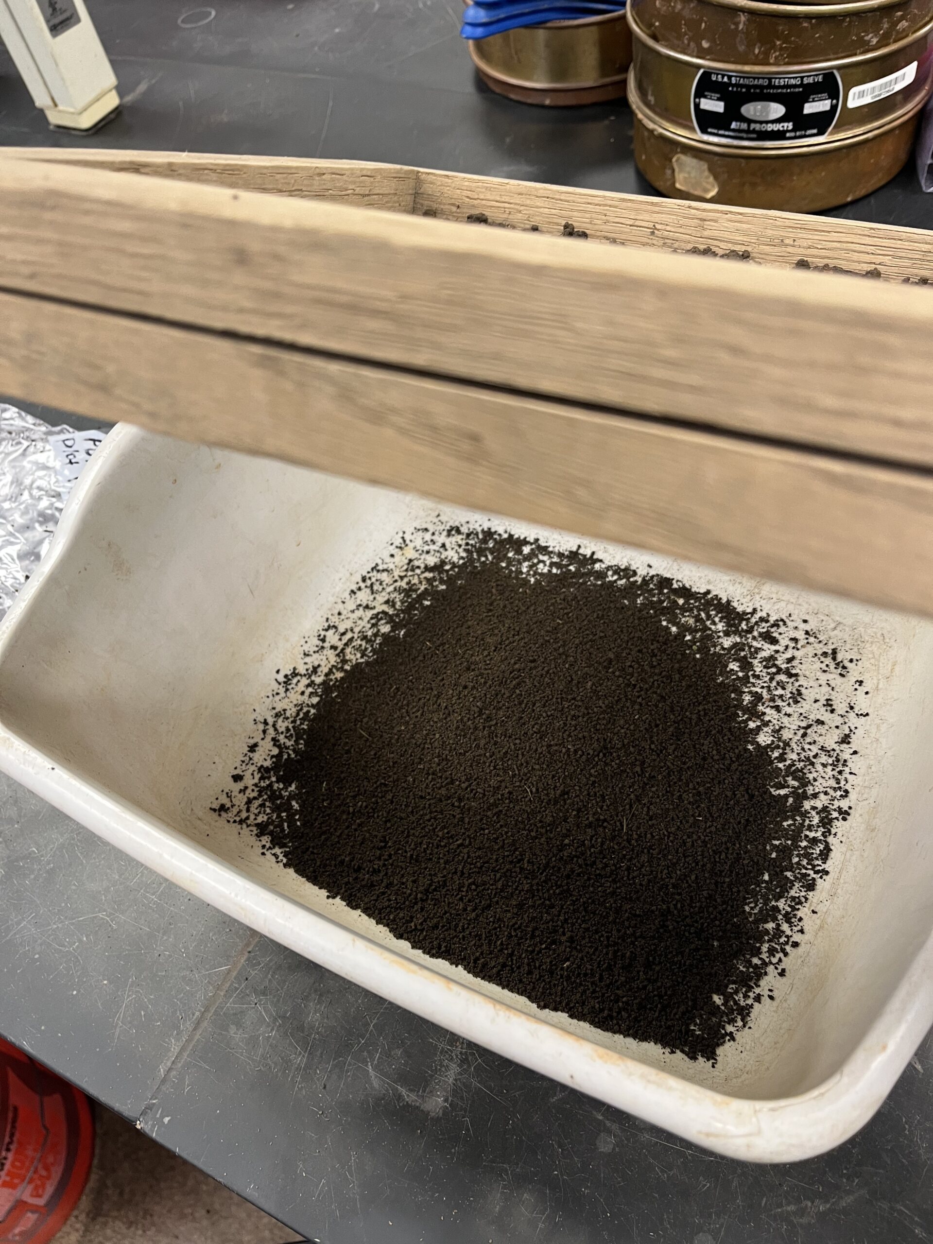 The Morton Arboretum