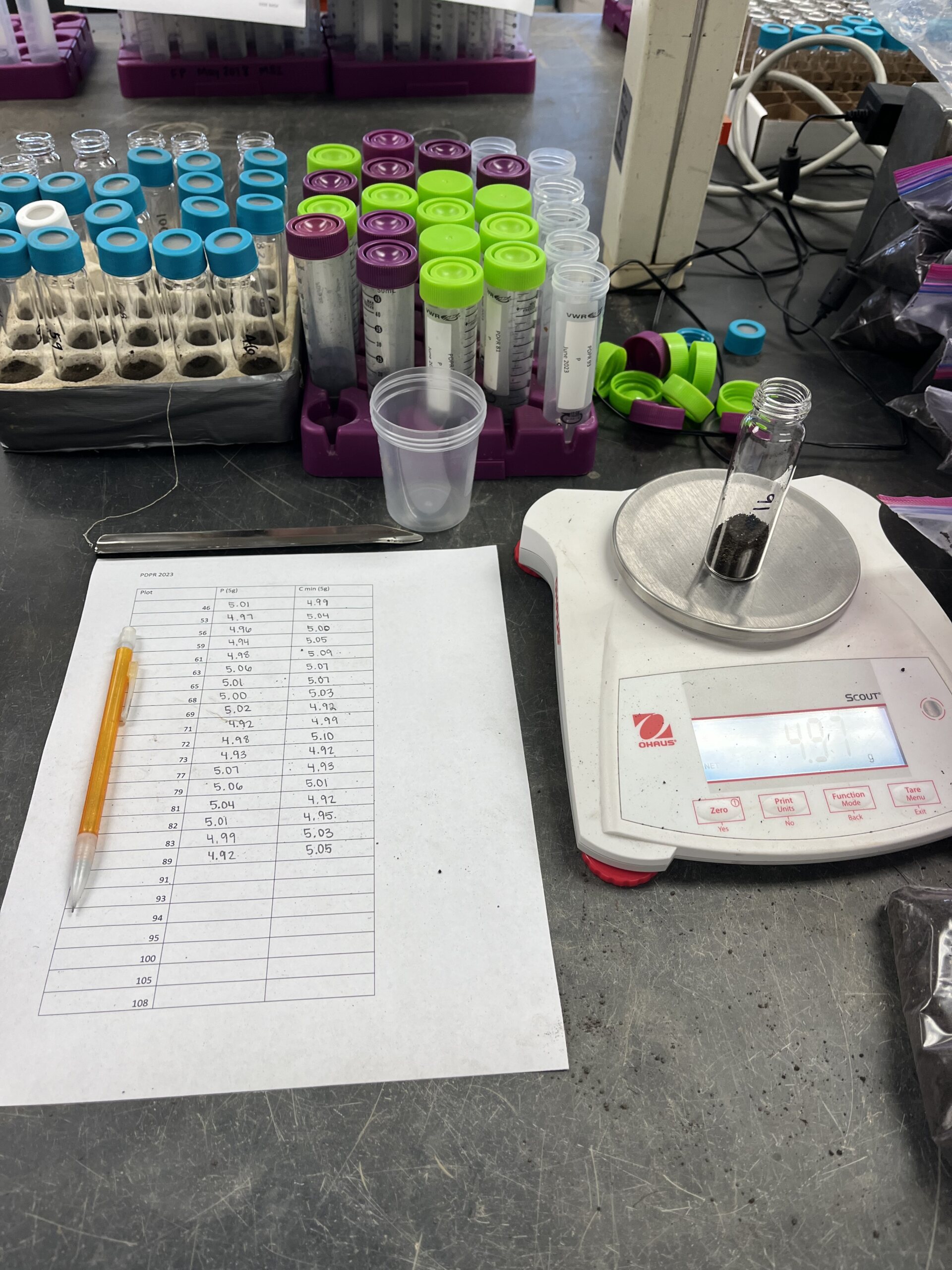 The Morton Arboretum