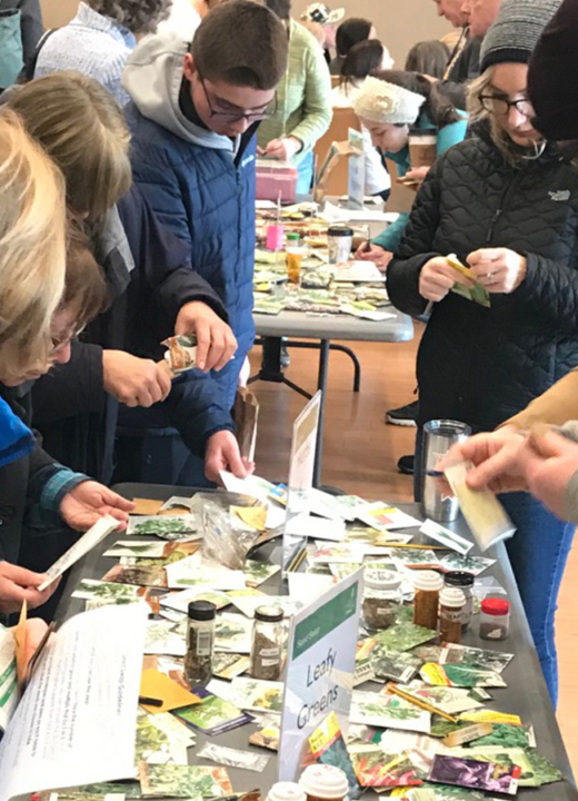People crowded around a table containing seeds for leafy greens at a seed swap event.