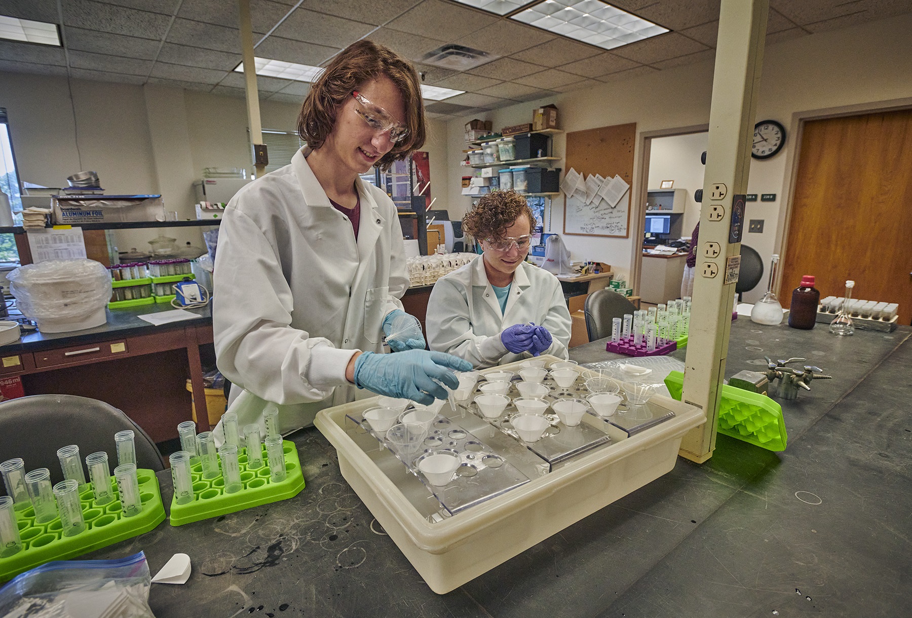 The Morton Arboretum