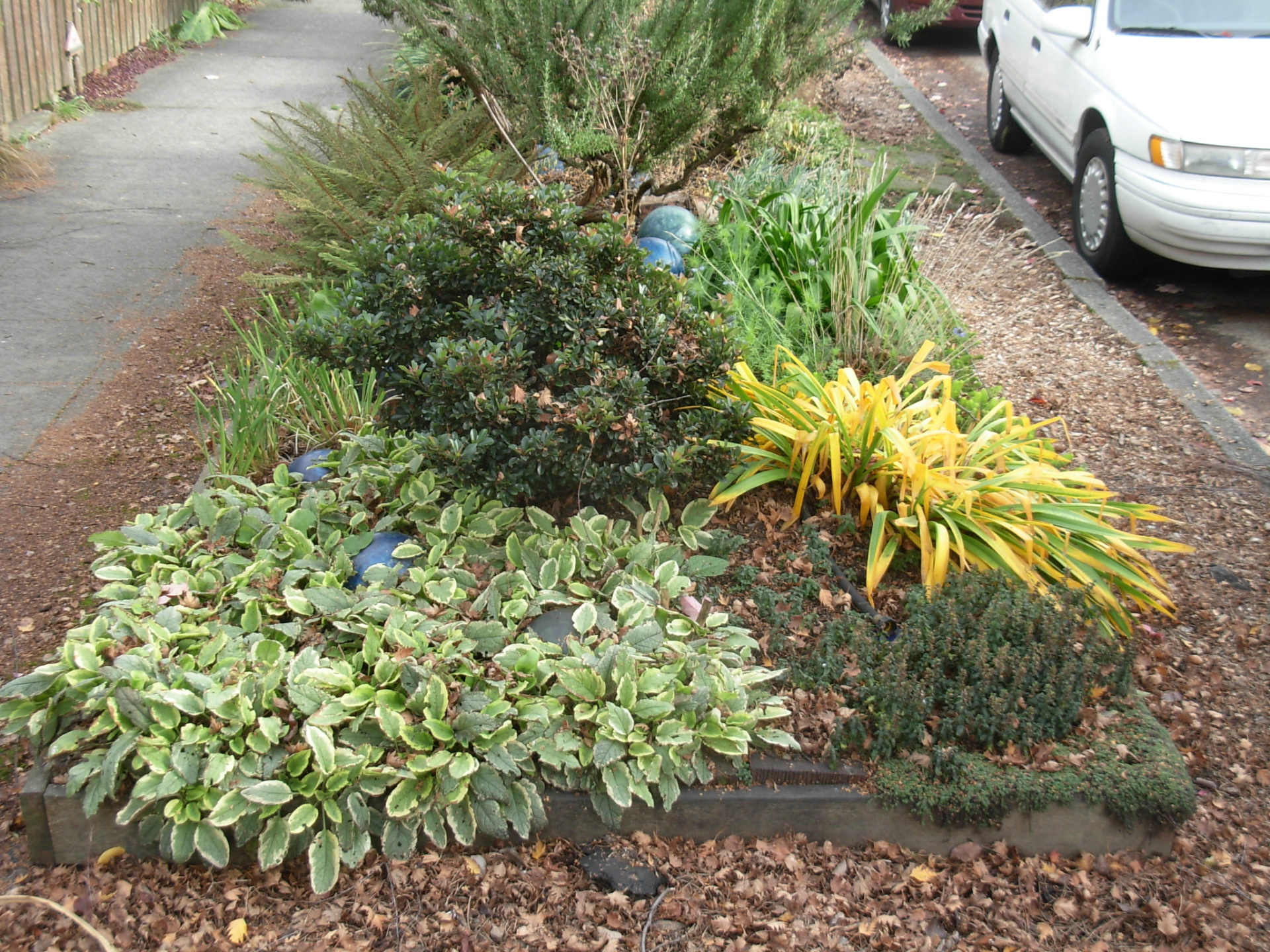 A landscaped garden on the strip of land between the sidewalk and the street.