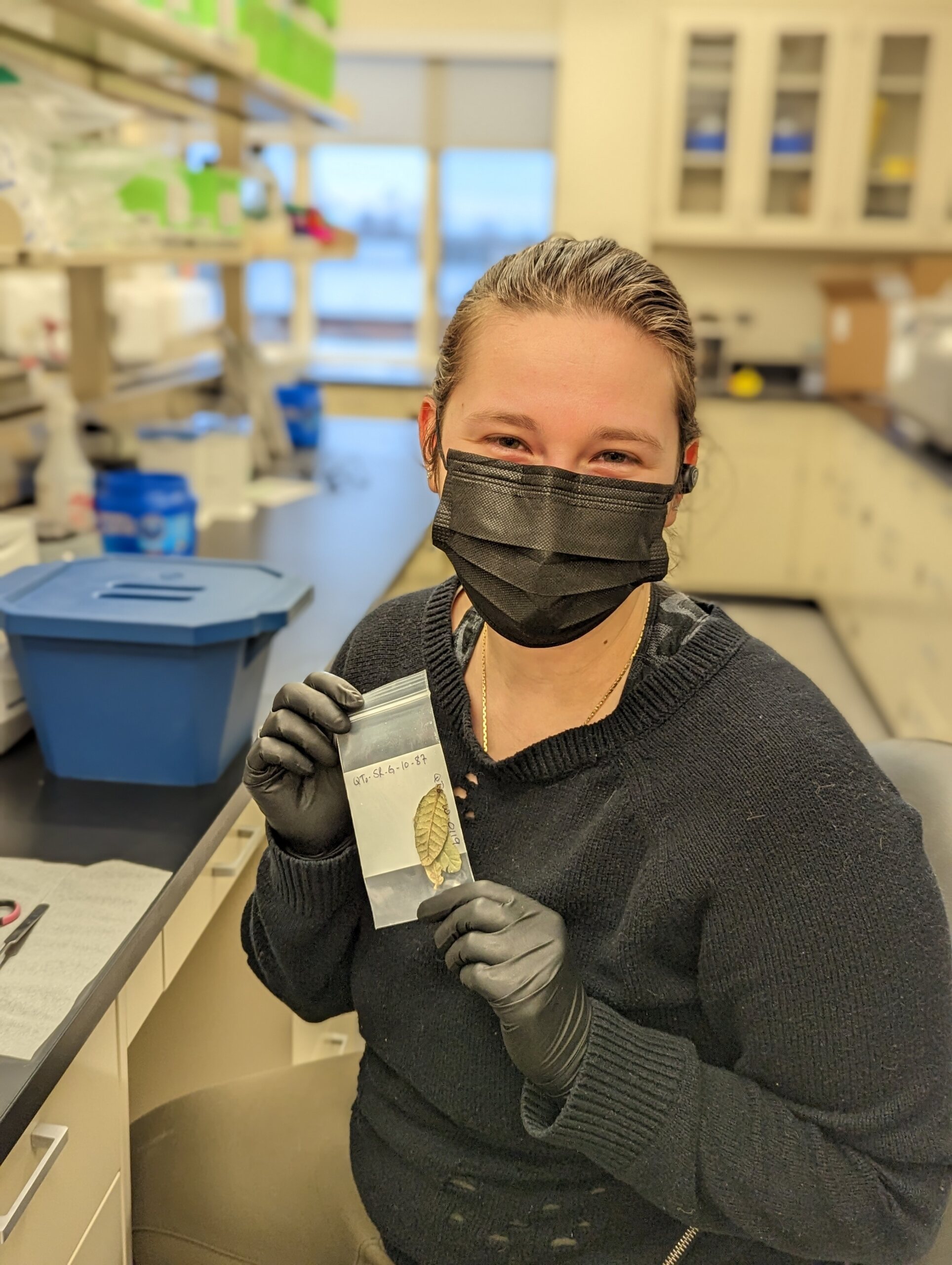 The Morton Arboretum