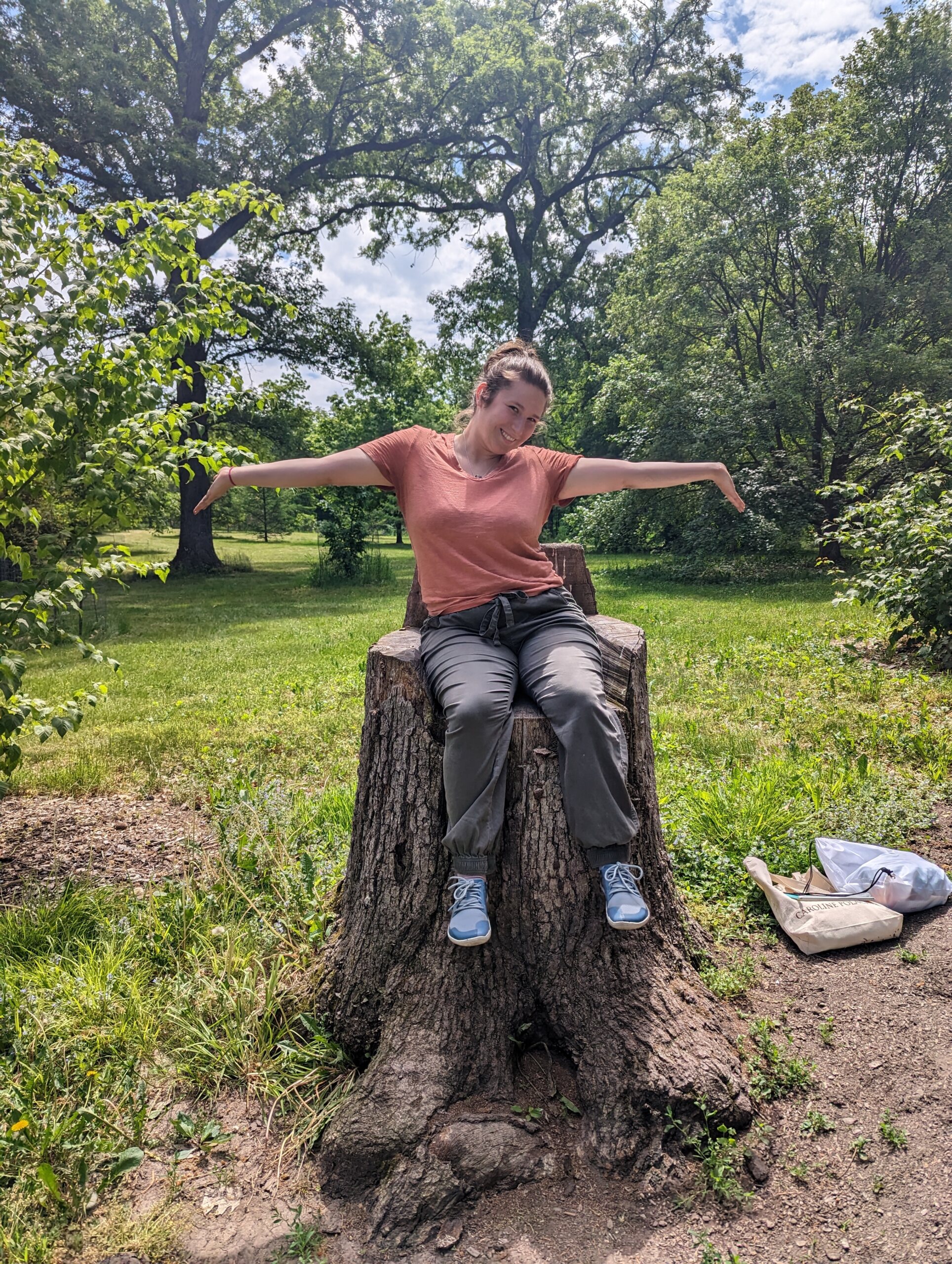The Morton Arboretum