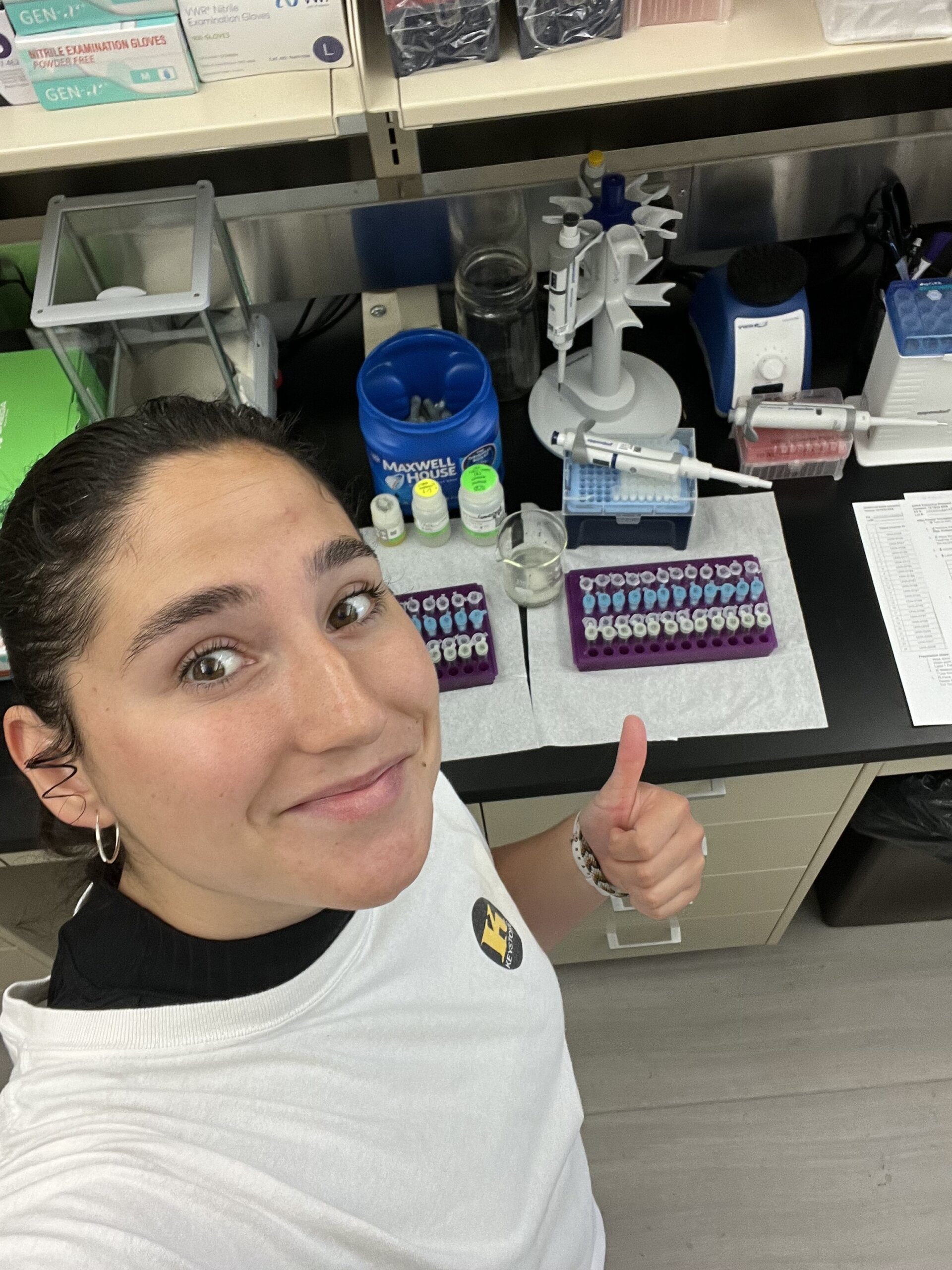 The Morton Arboretum