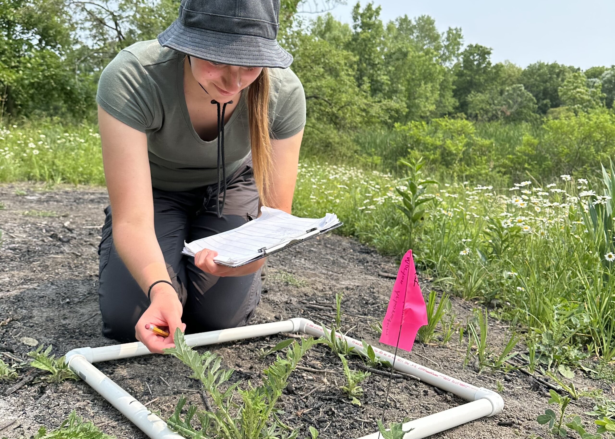 The Morton Arboretum
