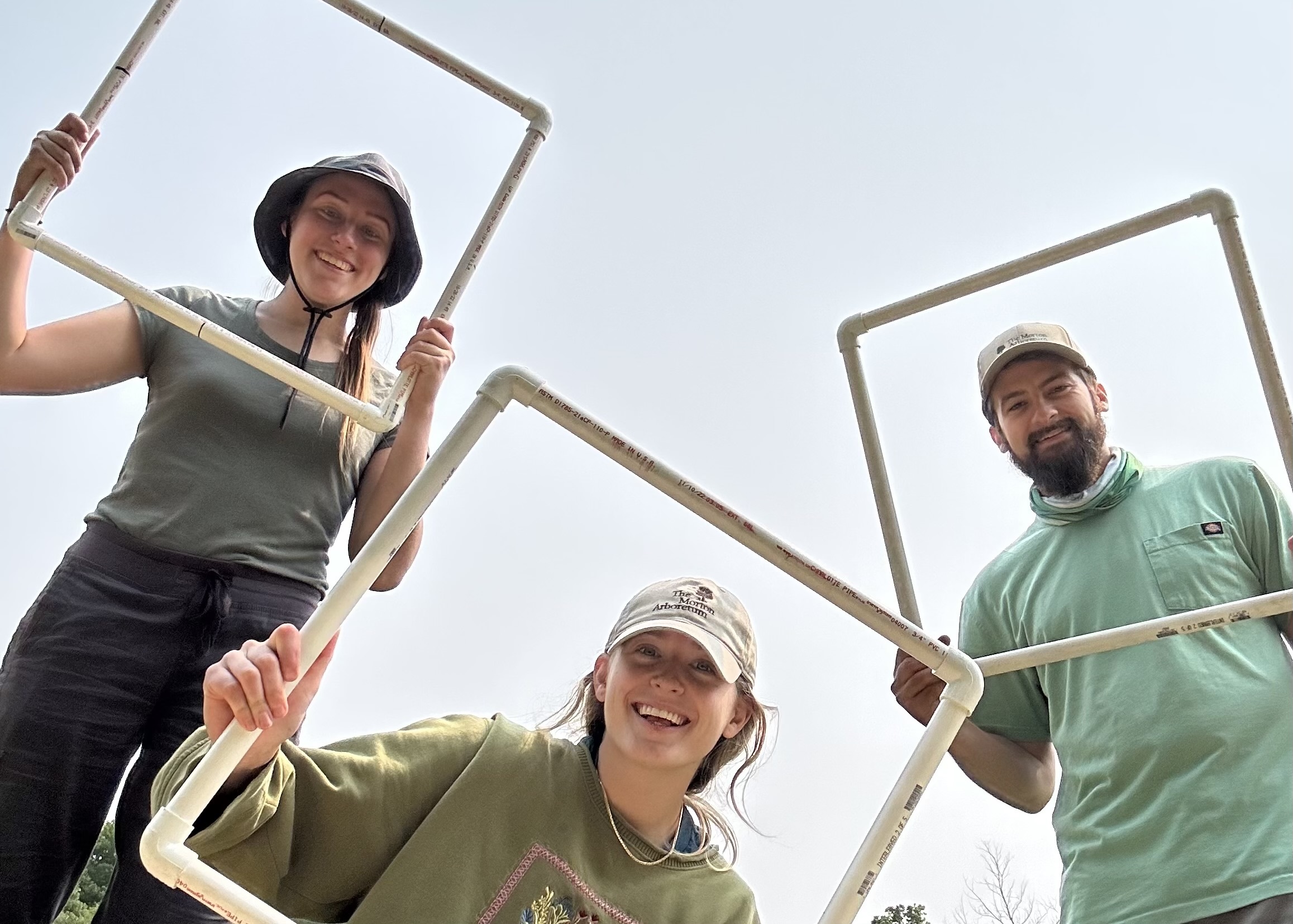 The Morton Arboretum