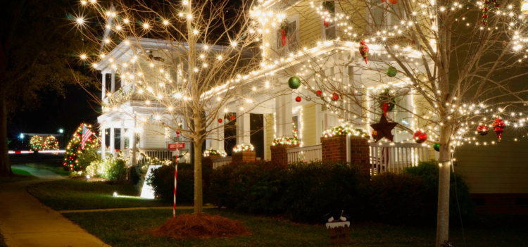 Holiday lights on trees and home