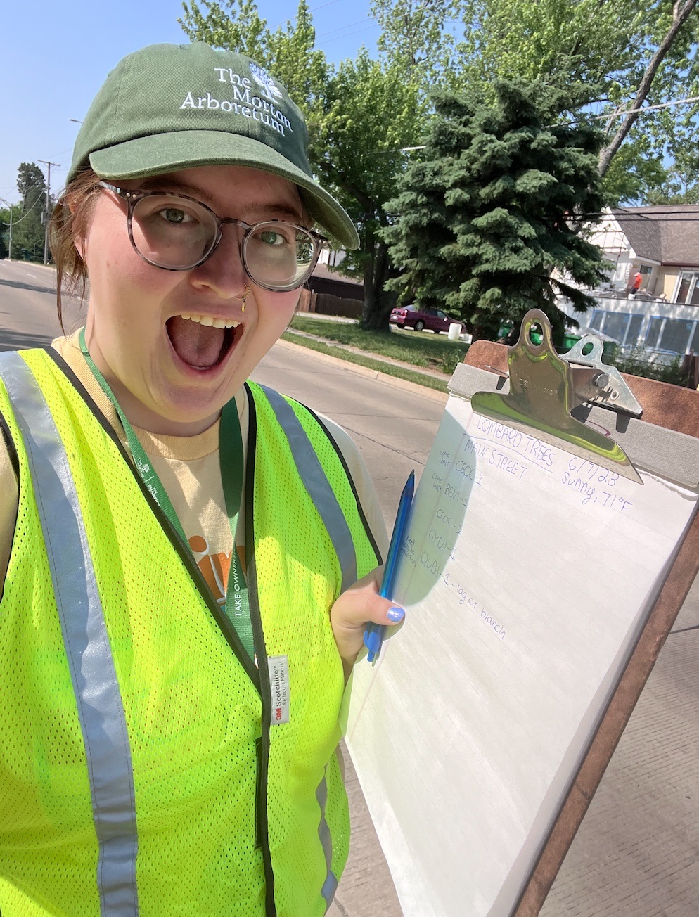 The Morton Arboretum