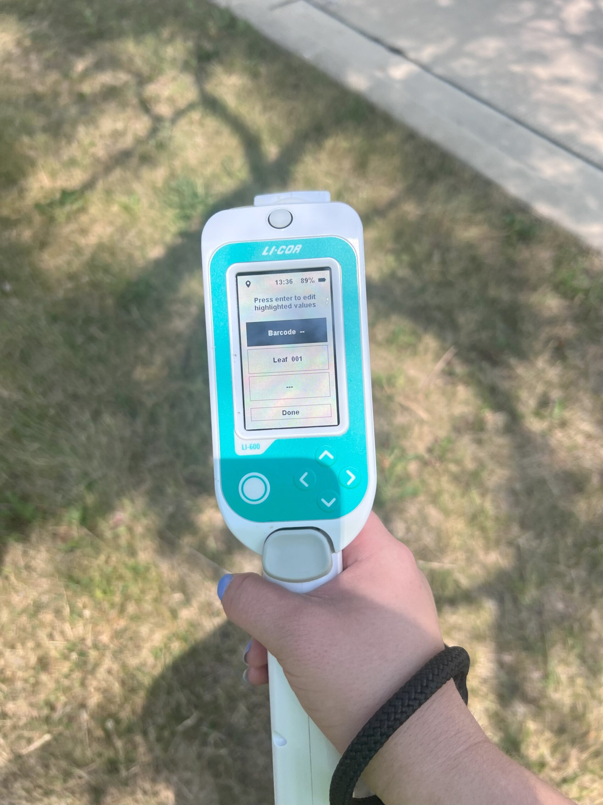 The Morton Arboretum