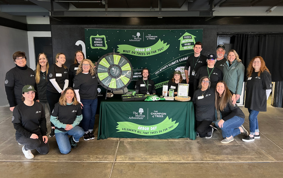 Arbor Day activation with staff at a White Sox game