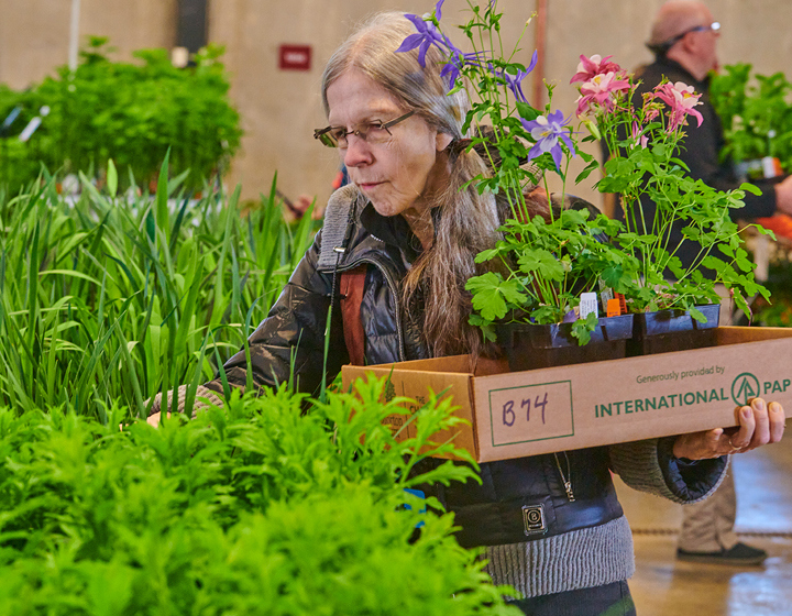 The Morton Arboretum