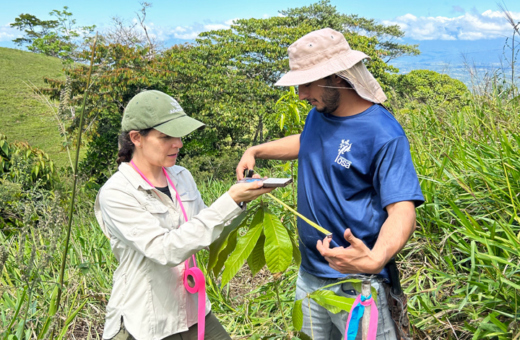 The Morton Arboretum