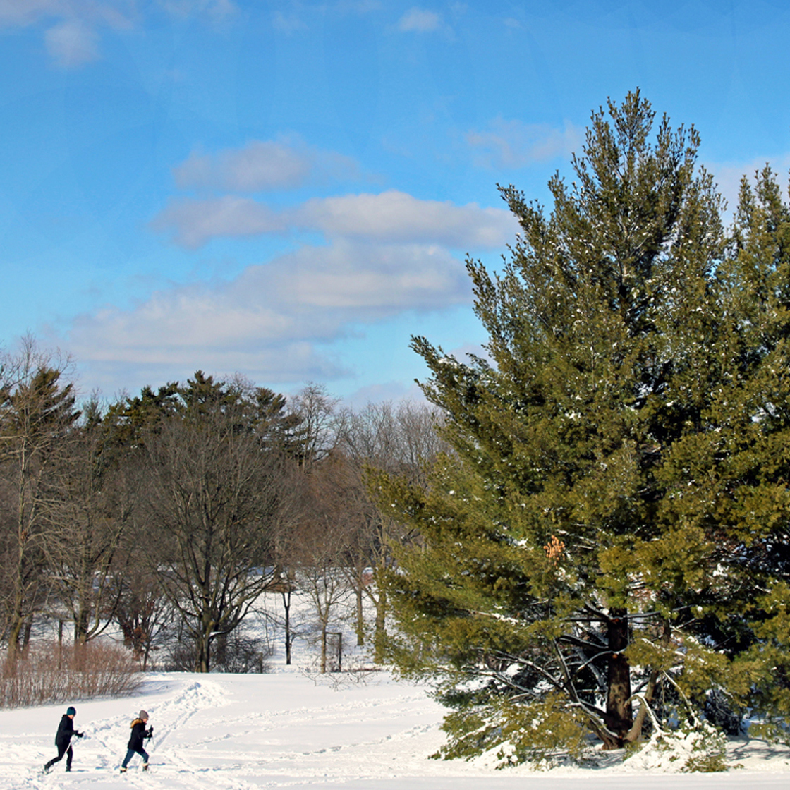 A couple ski across a wide snow filled area during winter