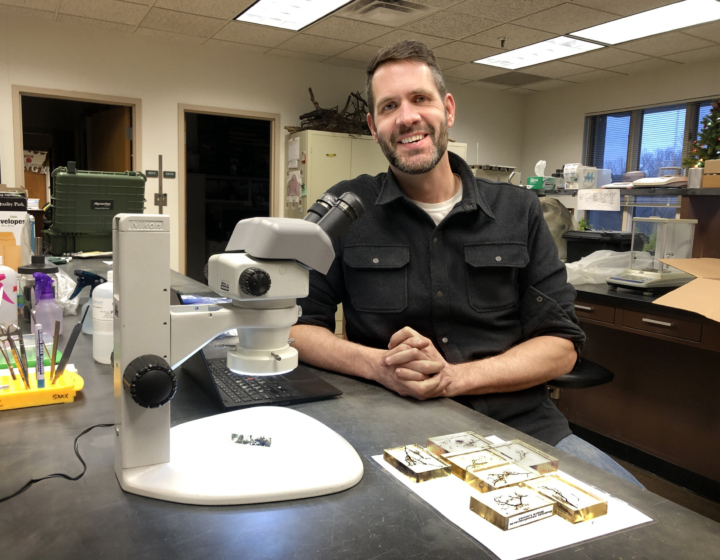 The Morton Arboretum