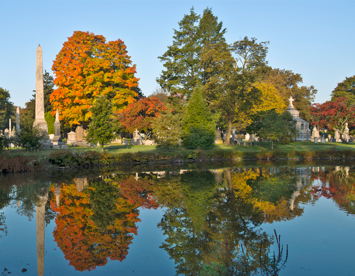 An accredited cemetery through ArbNet in Woodlawn during fall