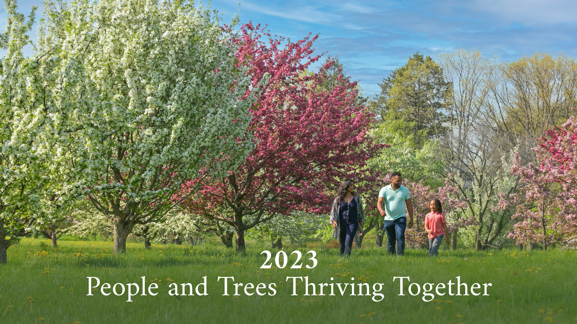 The Morton Arboretum