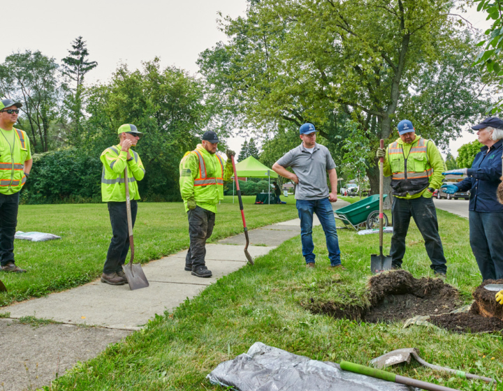 Chicago Region Trees Initiative | The Morton Arboretum