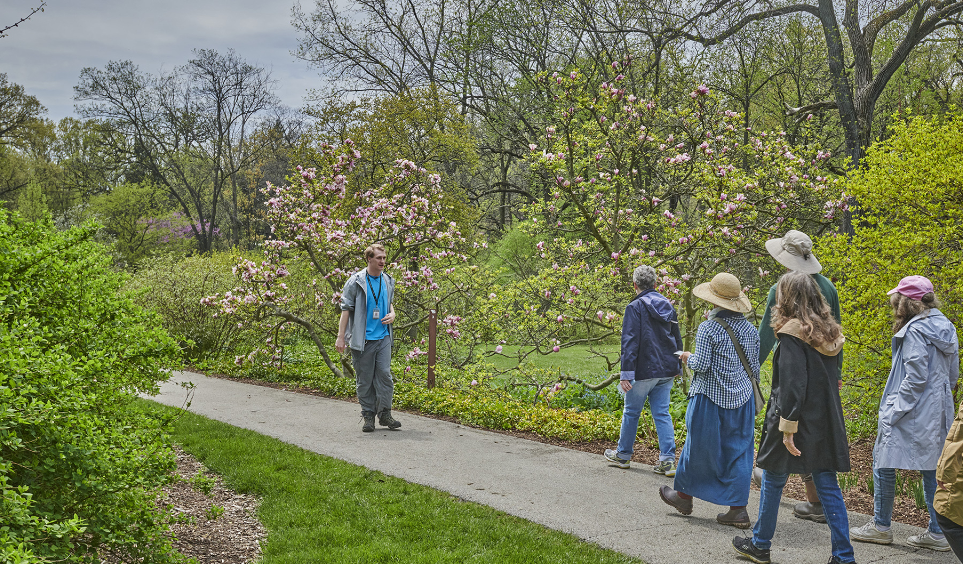 Arboretum staff guiding a group through the flowering trees of spring.