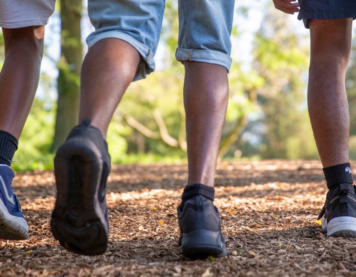 The Morton Arboretum