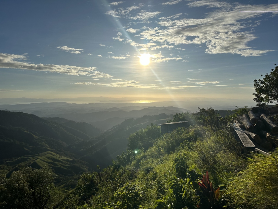 The Morton Arboretum
