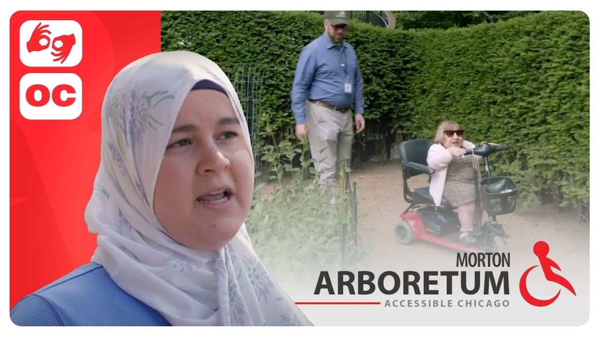 The Morton Arboretum