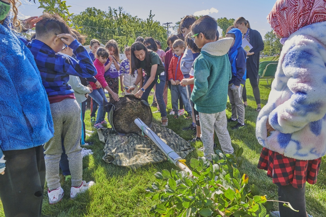 The Morton Arboretum