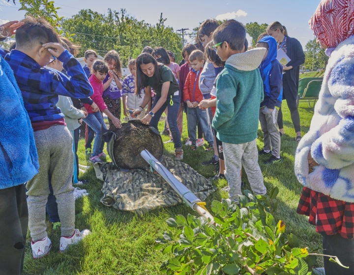 The Morton Arboretum