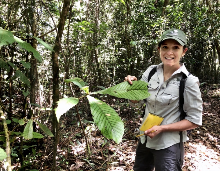 The Morton Arboretum