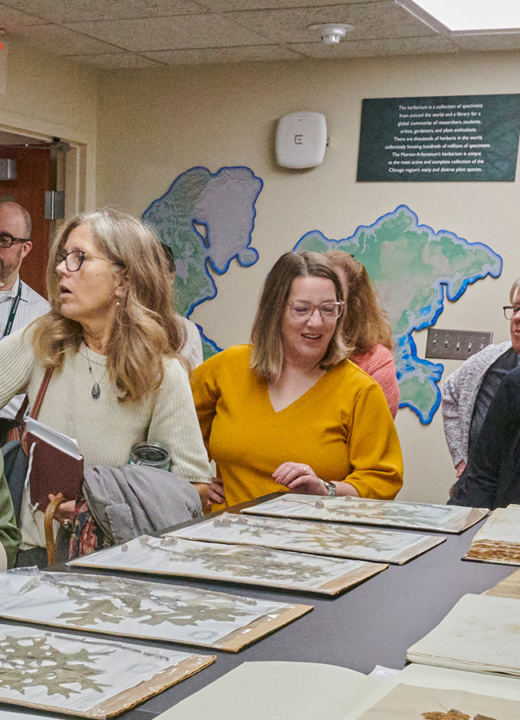 A group looking at dried plant samples in the Herbarium.