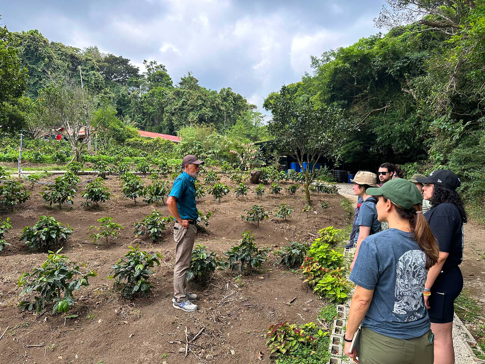 Tree Survival Center is Off to a Great Start | The Morton Arboretum