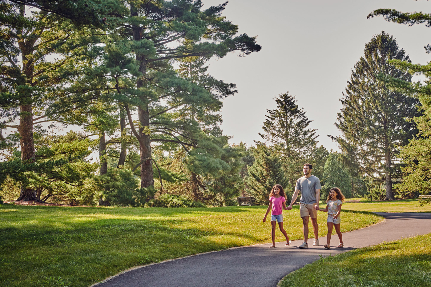 The Morton Arboretum