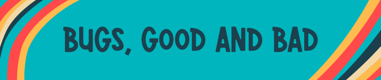 The Morton Arboretum