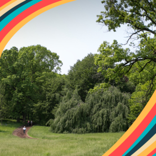The Morton Arboretum