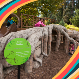 The Morton Arboretum