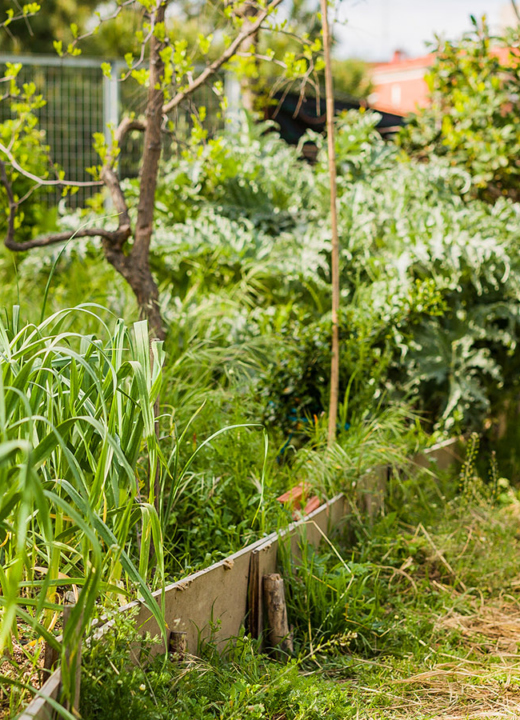The Morton Arboretum